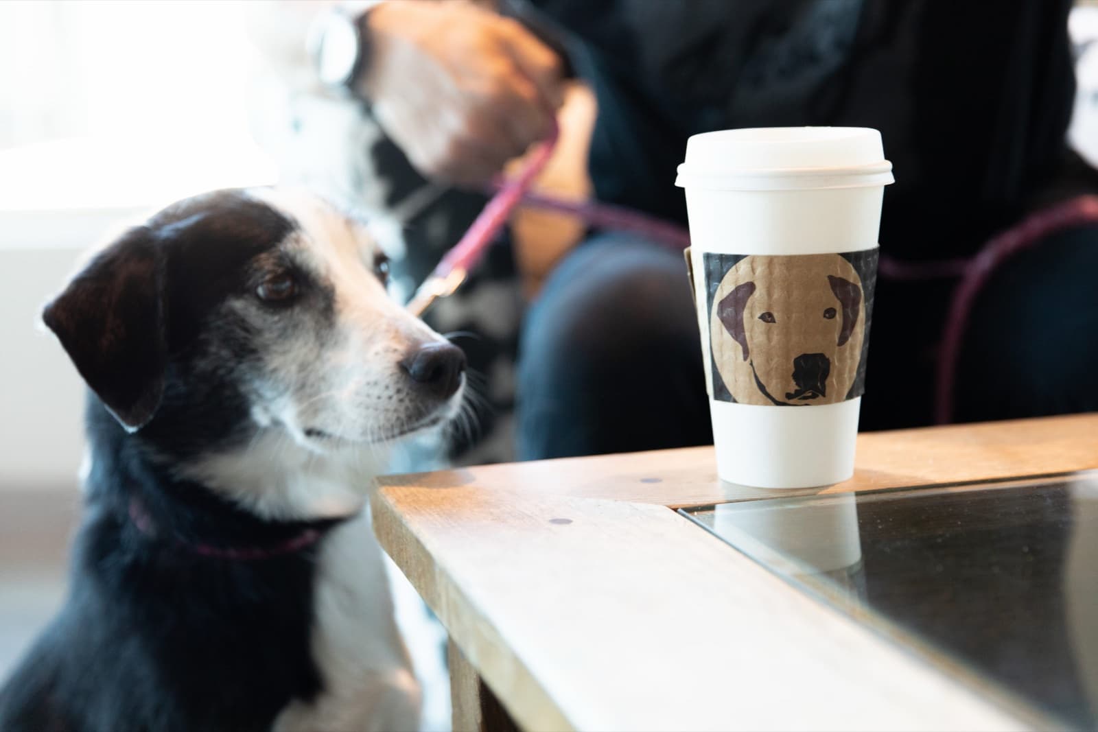 Hugo Coffee Roasters