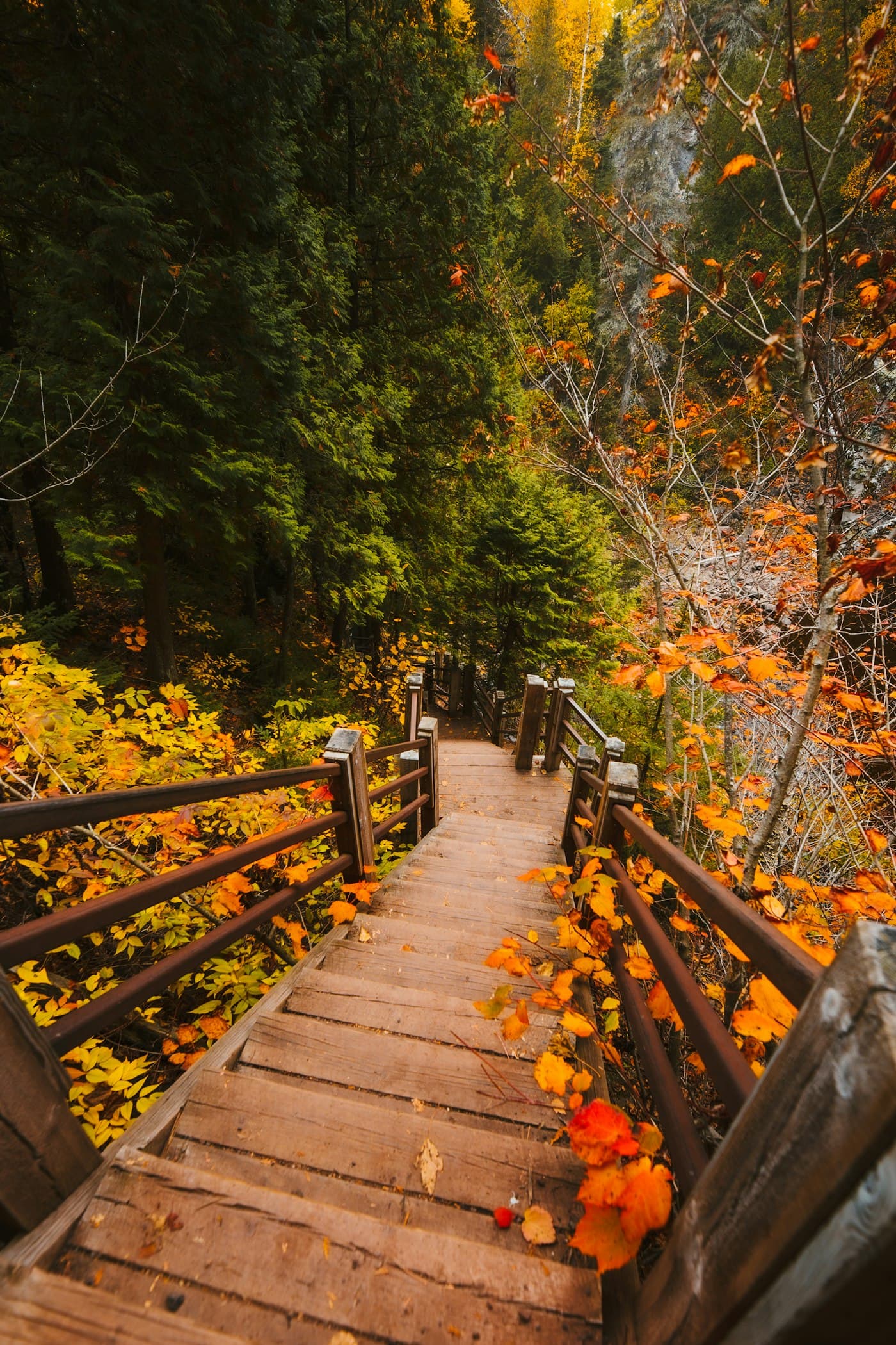 Hiking a Park City trail framed by vibrant red and gold autumn foliage