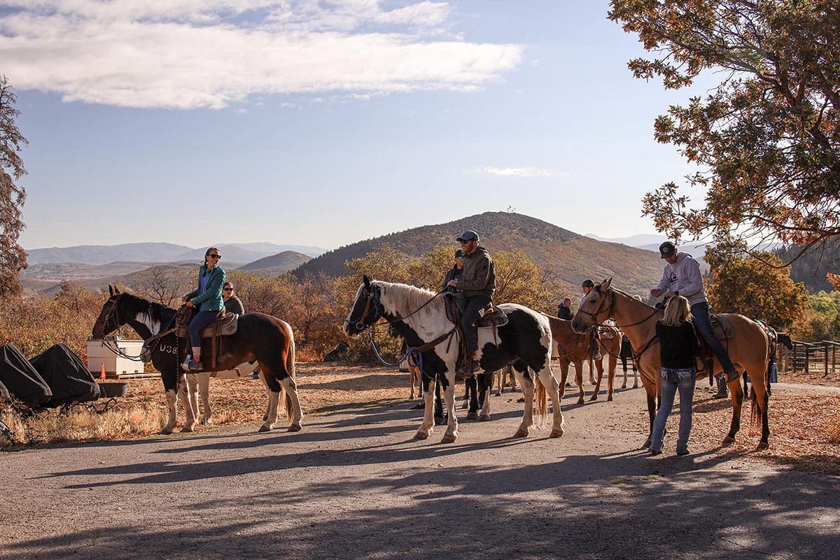 Guided horseback riders on a Park City mountain trail